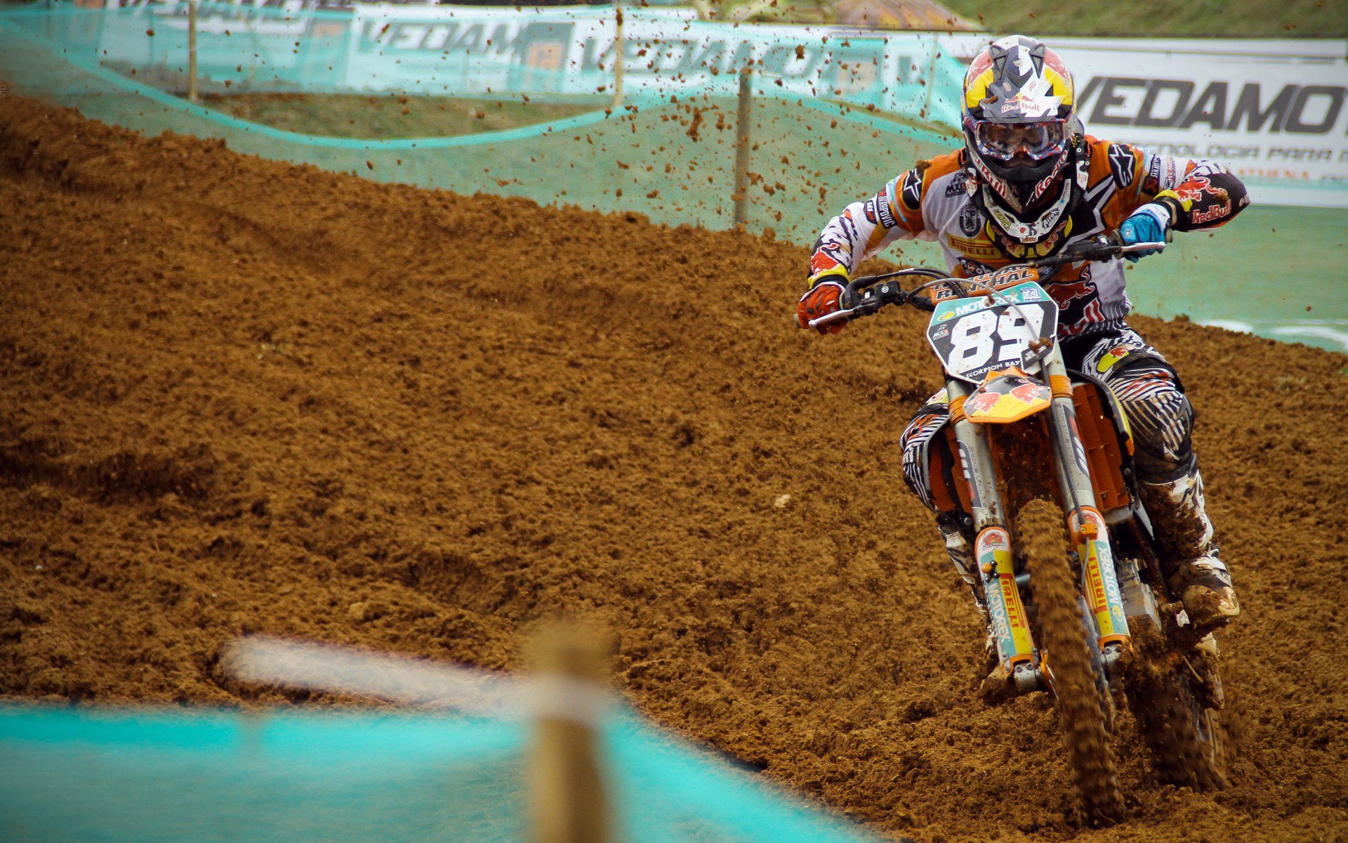 开云官网在线-“2025世界游泳锦标赛：顶尖游泳选手争夺金牌荣耀”